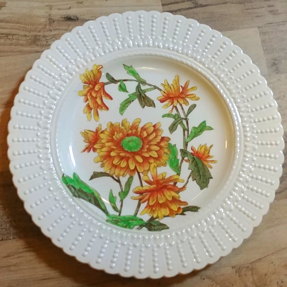 Royal Cauldon England Vintage 1950's Flower Series Plate #2473